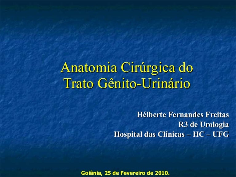prostata anatomia netter 2